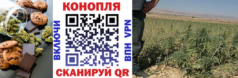мориарти телеграм продажа наркотиков Завитинск Canna-Cookies конопля