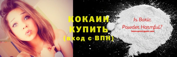 дживик Надым
