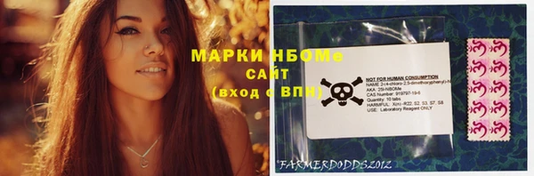 дживик Надым