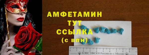 дживик Надым