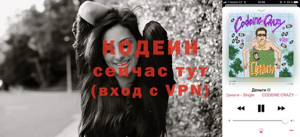 дживик Надым
