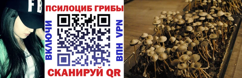Галлюциногенные грибы ЛСД  где можно купить наркотик  Завитинск 